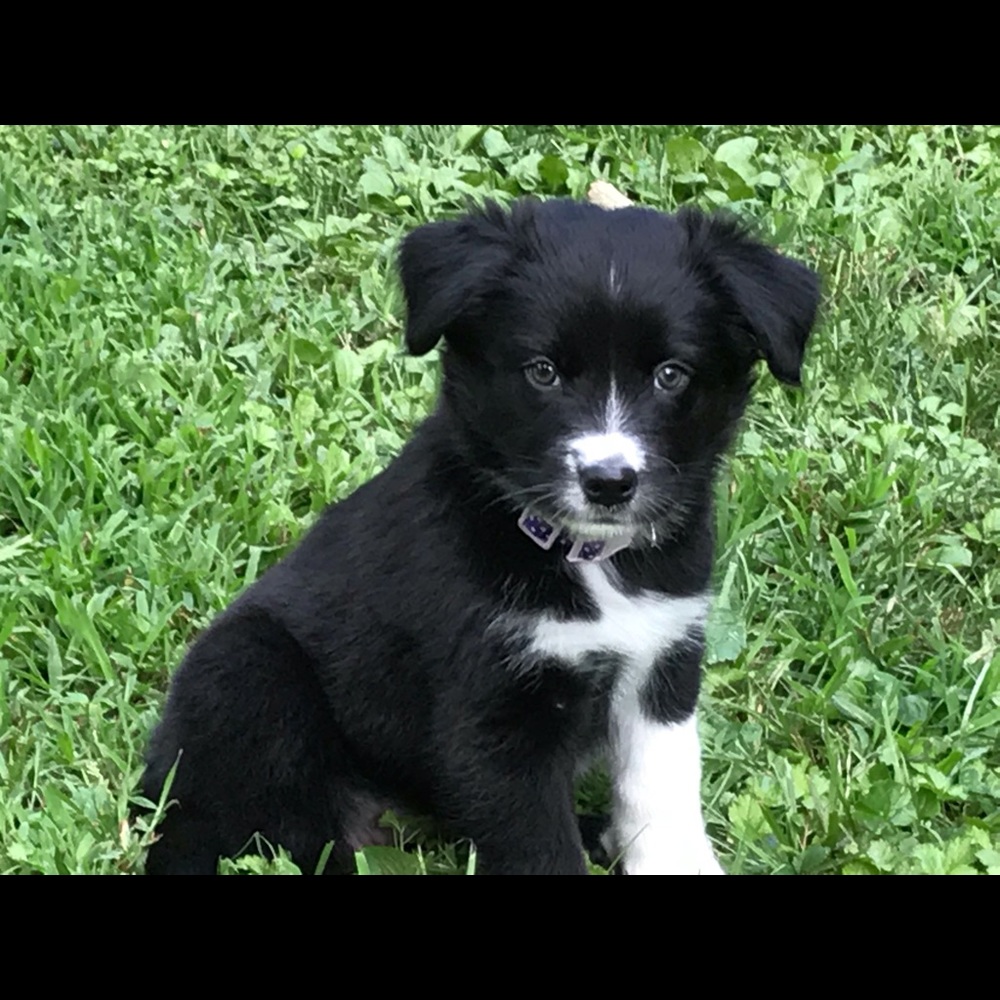 Meet your Posher, Liz